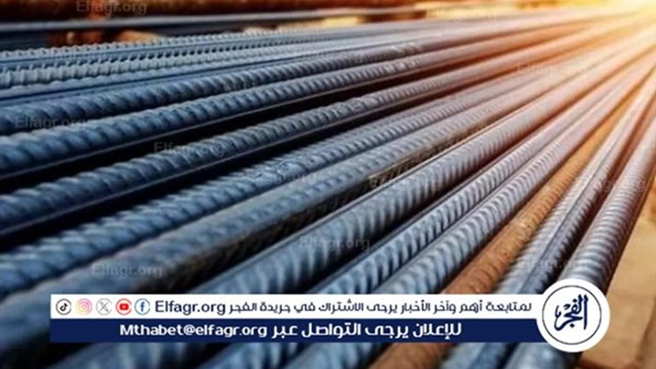 أسعار طن الحديد في سوق مواد البناء بالمنيا الجمعة 28 نوفمبر 2025